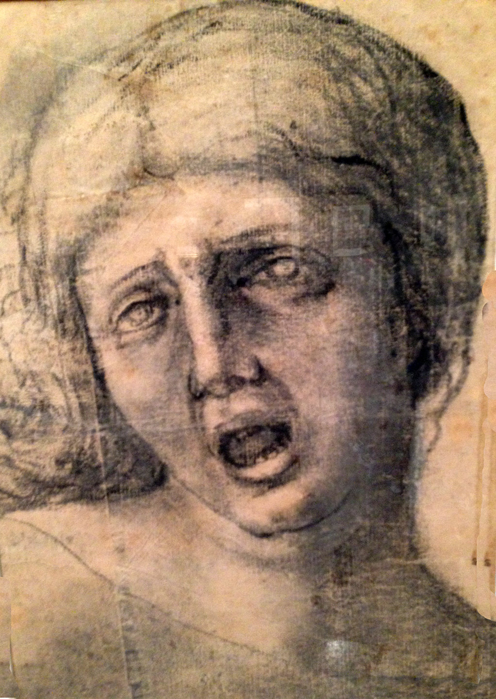 Correggio drawing at the Morgan Library